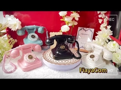 حفلات الزفاف الاحتفالات الهاتف كتاب الضيوف الصوت الواضح الهاتف القديم